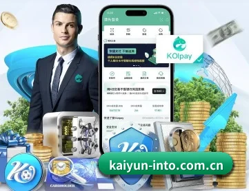 开云平台官方入口 APP 深度功能
